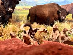 -陕西自然博物馆