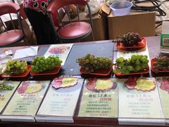 -马陆小张葡萄园农家乐