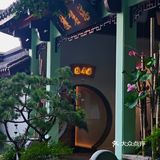 夏日赏荷限定，杭州人私藏20年的秘境餐厅‼️