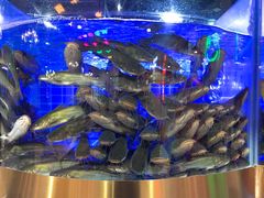-蛙一刀·麻椒鱼火锅(金仙桥店)