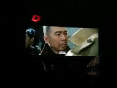 -枫花园汽车电影院(朝阳公园店)
