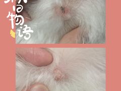 -佳雯宠物医院(金华南路分院)