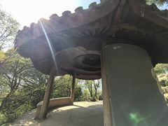 -香雪海