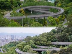 -福道