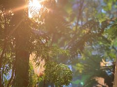 -时光花园(白鹭洲店)