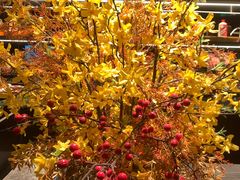 -秀儿四九城·新京菜(亚运村鸟巢店)