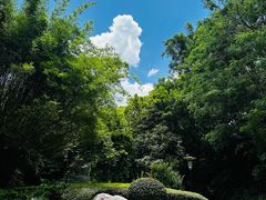 -深圳国际园林花卉博览园