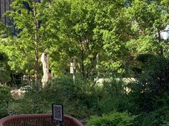 -翠贝卡&Mama Kelly Brunch Coffee(河西店)