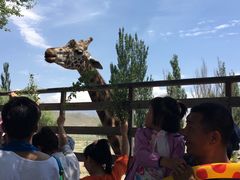 -新疆天山野生动物园