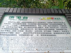 -呀诺达热带雨林