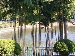 -深圳龙潭公园