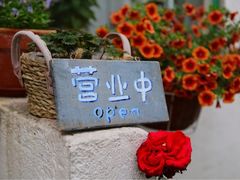 iphone_upload_pic-海边的猫和咖啡馆