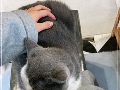 -犇牛记·鲜牛肉火锅