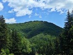 -塞罕坝国家级自然保护区