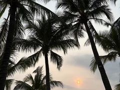 -日落吧·海景咖啡厅·餐酒吧·鸡尾酒·下午茶·乐队表演·浪漫夕阳·三亚文华东方酒店