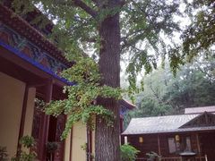 -大泽山风景名胜区