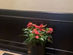 -涟LIAN·泰式按摩·MASSAGE·SPA(深业上城店)