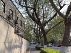 -三百碗宝应长鱼面(板仓街店)