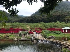 -广州市石门国家森林公园