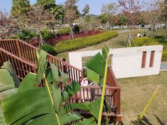 -宝安西湾红树林湿地公园