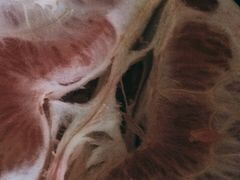 -百果园PAGODA(庆春东路店)