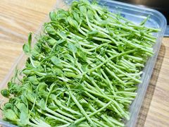 豆苗-椰椰榴椰子鸡·糟粕醋火锅(兴华南街店)