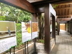 -福田红树林生态公园