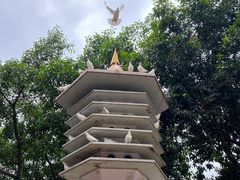 -顺峰山公园