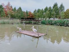 -宁波杭州湾国家湿地公园