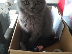 -TPLUS茶家(淮海店)