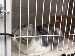 -边渡咖啡烘焙店(昙华林店)