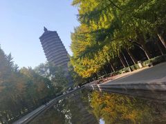 -玲珑塔公园