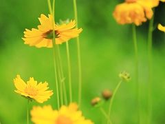 -沣东·沣河生态景区