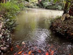 -成都杜甫草堂博物馆