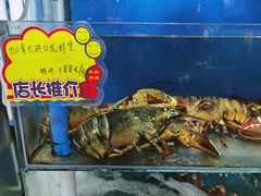 -蚝专家(北滘店)