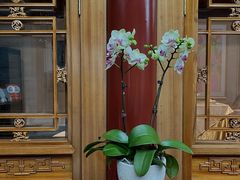 -北京古城老院厉晓麟精致菜