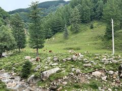 -芦芽山旅游度假区