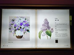 -德基艺术博物馆