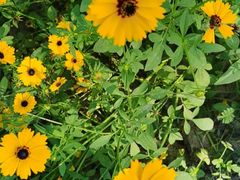 -御仙都北京菜馆·烤鸭店(双井店)