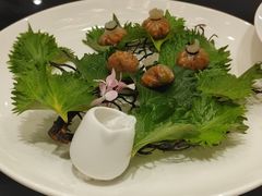 -新雅粤菜馆(南京东路店)