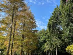-中国科学院西双版纳热带植物园
