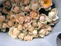 -昆明国际花卉拍卖交易中心