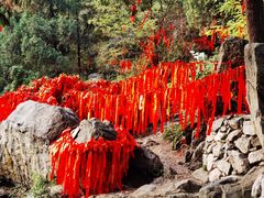 -泰山风景名胜区