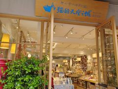 -猫的天空之城概念书店(束河店)