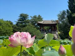 -国家植物园南园