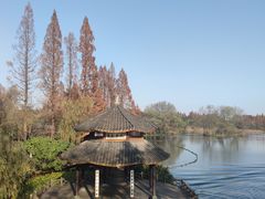 -茅家埠