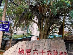 -杨厝六十六农庄农舍(杨厝路店)