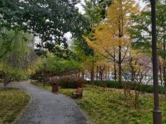 -元大都城垣遗址公园