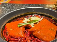 -蜀大侠火锅(总府路店)