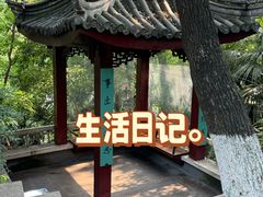 -北极阁公园
